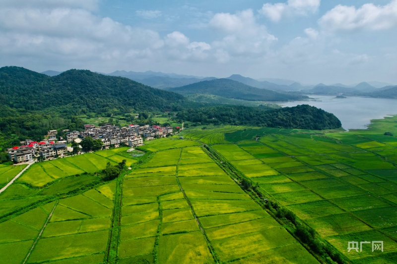 天博瞰江西！夏日乡村 绿意盎然(图8)