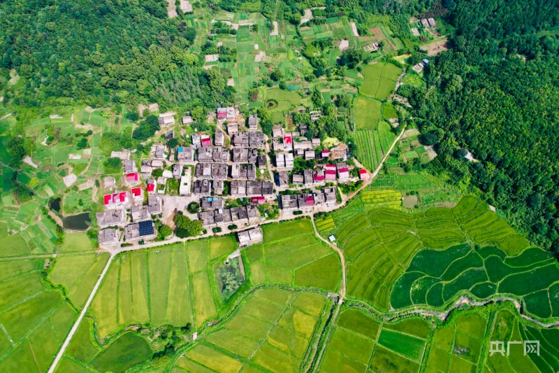 天博瞰江西！夏日乡村 绿意盎然(图9)