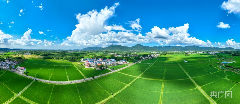 天博瞰江西！夏日乡村 绿意盎然(图1)