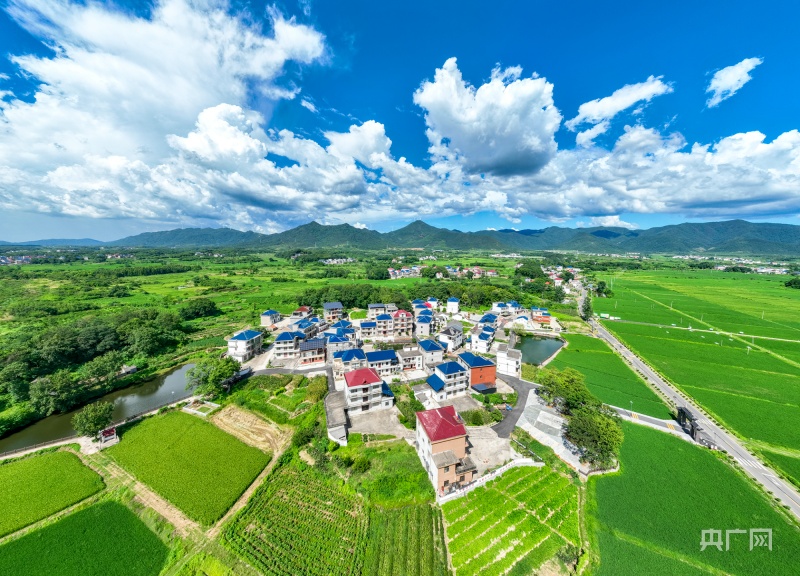 天博瞰江西！夏日乡村 绿意盎然(图3)