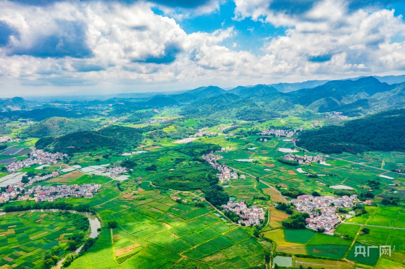 天博瞰江西！夏日乡村 绿意盎然(图5)