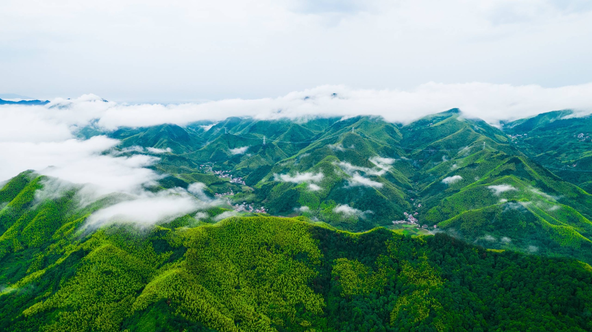 天博浙江安吉：开辟“两山”转化新领域 发展“绿意盎然”新经济(图1)