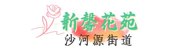 天博体育官方平台入口全市“最美阳台”“最美社区花园”名单出炉！金牛区7个点位入围(图1)