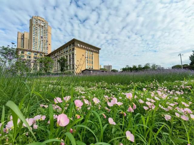 天博体育官方平台入口全市“最美阳台”“最美社区花园”名单出炉！金牛区7个点位入围(图2)