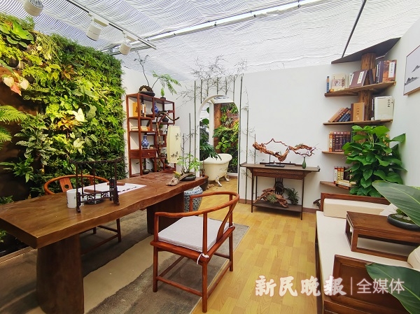 天博官网两室一厅“植物样板间”太美了！上海家庭园艺展开幕(图1)