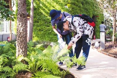 天博官网“天津日”、百草园、百蔬园：近日世园会看点都在这里(图4)