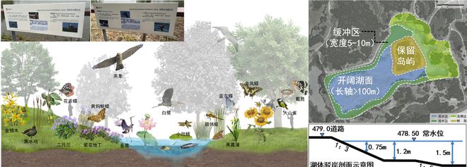 天博风景园林与旅游类 2019北京世园会自然生态展示区园林景观工程设计(图5)