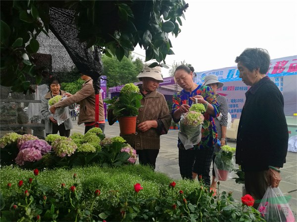 天博体育官方平台入口栽花养草成时尚潮流 家庭园艺市场升温(图2)