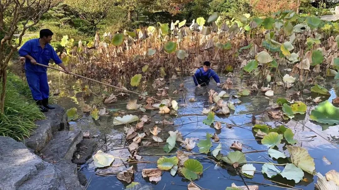 天博官网入口涉及莘庄、颛桥、江川……闵行这个集团今年将有新动作(图8)