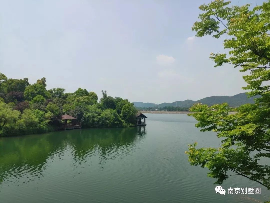 天博官网南京3大奢阔庭院别墅曝光！墅王一栋占地8500㎡塔尖人士的最爱(图6)