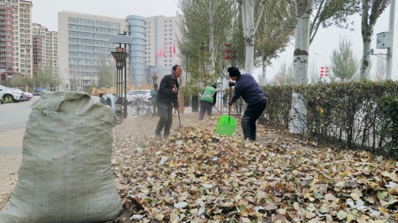 天博官网提升城市环境 减少火灾隐患 绿韵公司清理落叶杂草5000余方(图1)