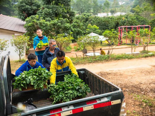 天博植树节 慧灵农场中国通服广东公司共建广州首个以景观实现自然疗愈的共融花园(图7)