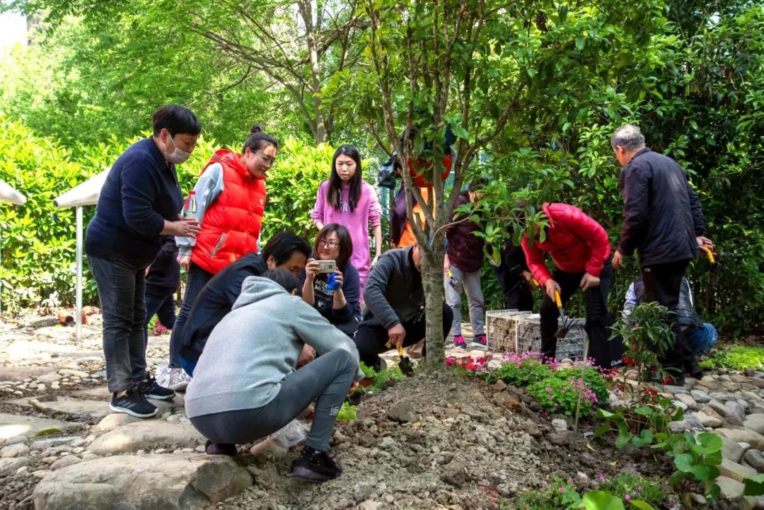 天博体育官方平台入口长宁这个居民区按老百姓画的“设想图”打造家门口的“绿野仙踪”(图5)