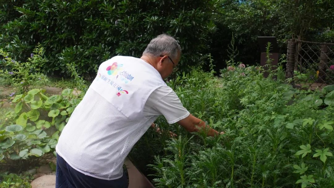 天博体育官方平台入口长宁这个居民区按老百姓画的“设想图”打造家门口的“绿野仙踪”(图8)