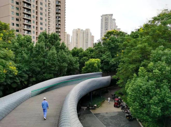 天博体育官方平台入口历届最美！2024上海女子半马赛道沿线打卡点抢先看→(图34)