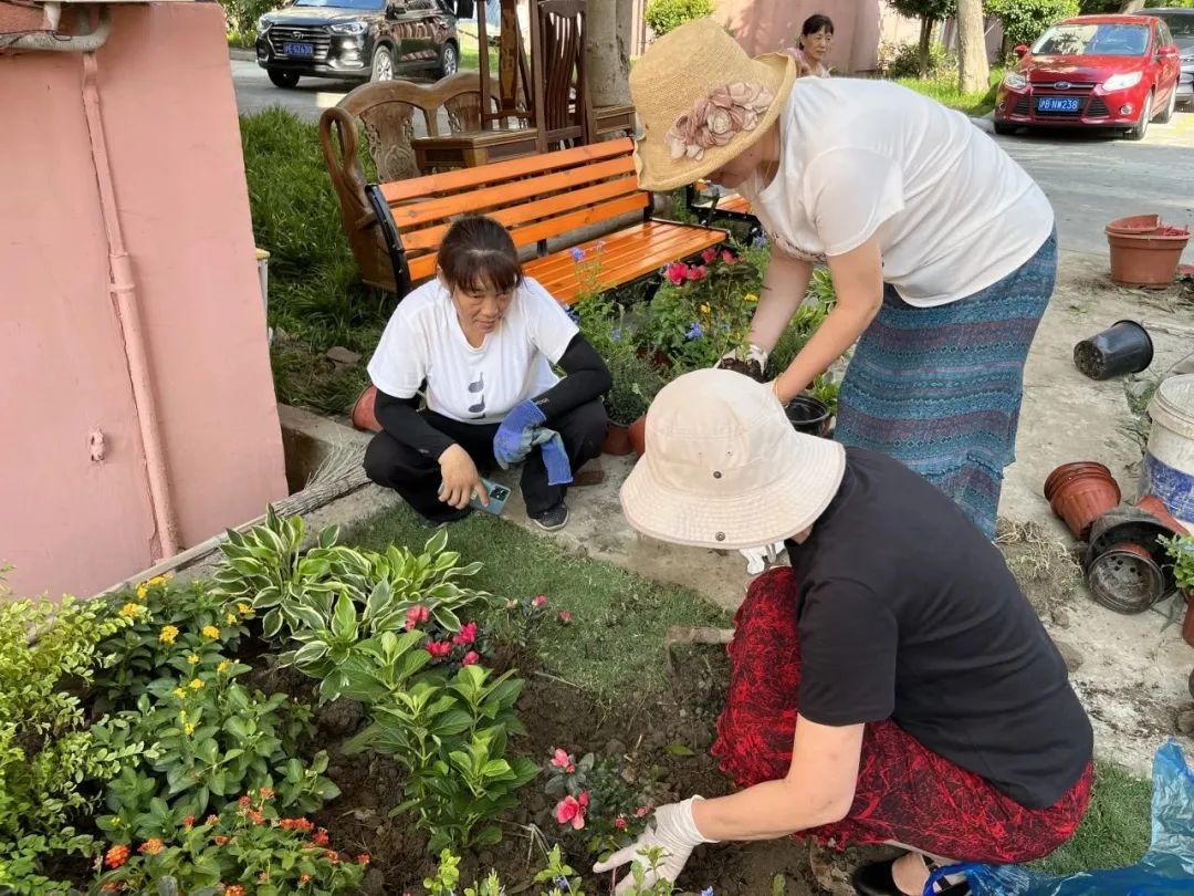 天博居民自治迸发新活力！宝山这个小区打造共享花园微景观(图4)