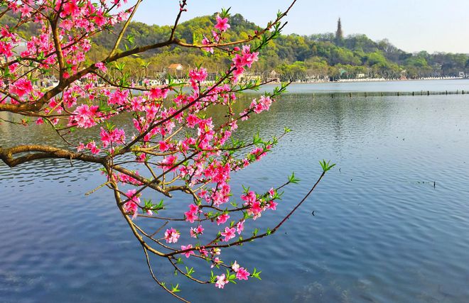 天博官网春之赞歌——万物复苏的季节生命的盛宴(图2)