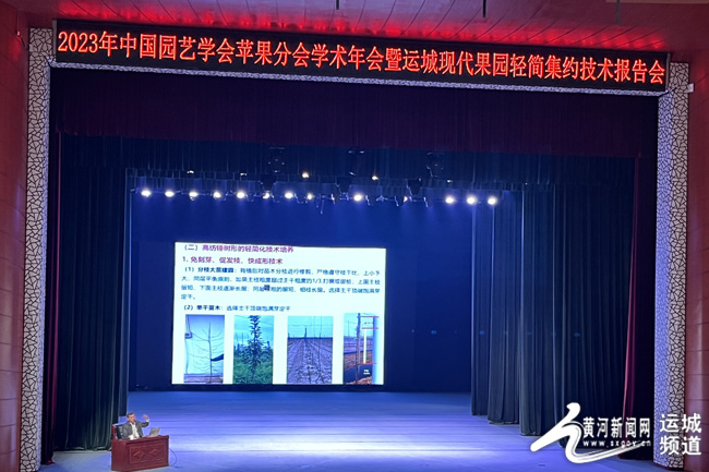 天博2023年中国园艺学会苹果分会学术年会暨运城现代果园轻简集约技术报告会在临猗(图1)