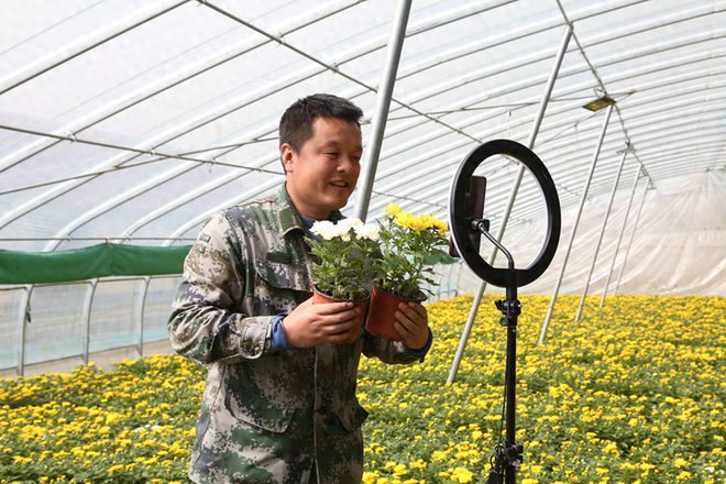 天博官网临港区：美丽乡村蓝图“落地开花”(图1)