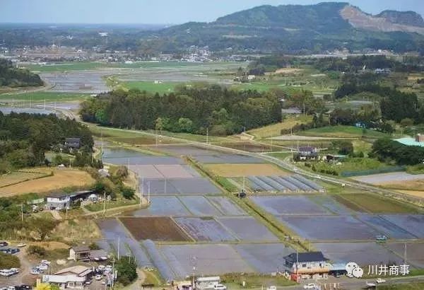 天博日本的农村人到底住啥样的房子？(图2)