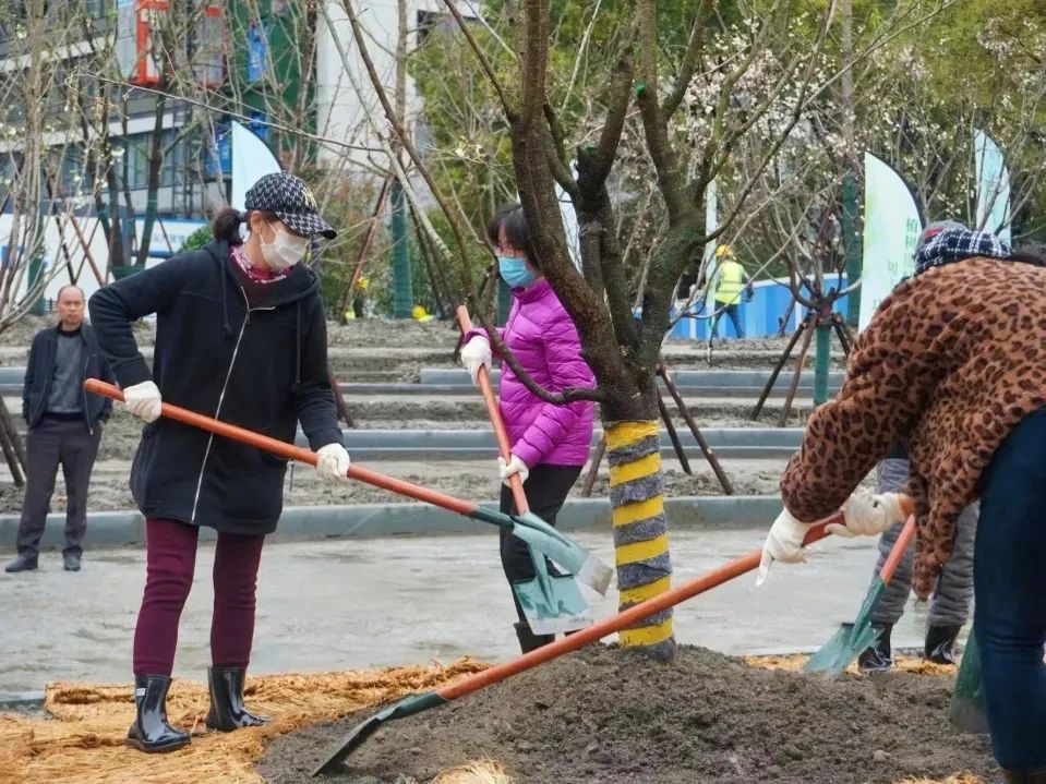 天博体育官方平台入口推窗见绿、出门见园、行路见荫长宁这个街道绿化面积覆盖率达33(图5)