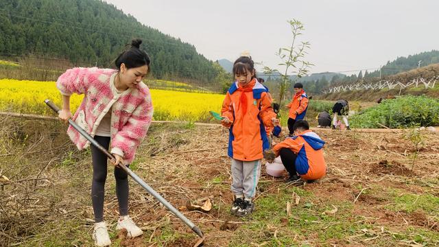 天博官网入口绿意盎然共筑绿色家园——船山区城北小学开展植树活动(图1)