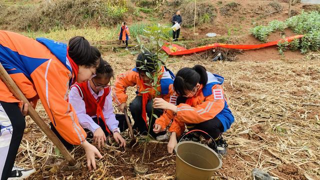 天博官网入口绿意盎然共筑绿色家园——船山区城北小学开展植树活动(图4)