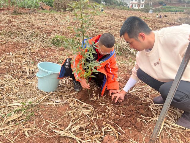 天博官网入口绿意盎然共筑绿色家园——船山区城北小学开展植树活动(图2)