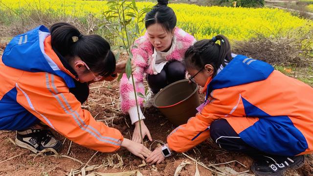 天博官网入口绿意盎然共筑绿色家园——船山区城北小学开展植树活动(图6)