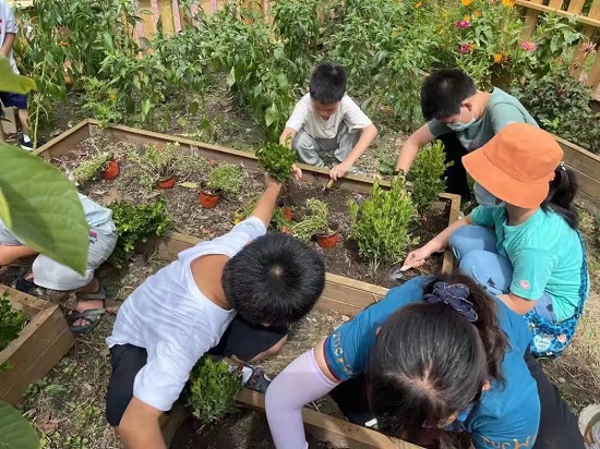 天博体育官方平台入口种出一片“后花园”！创意微改造让老旧小区闲置角落焕发新生！