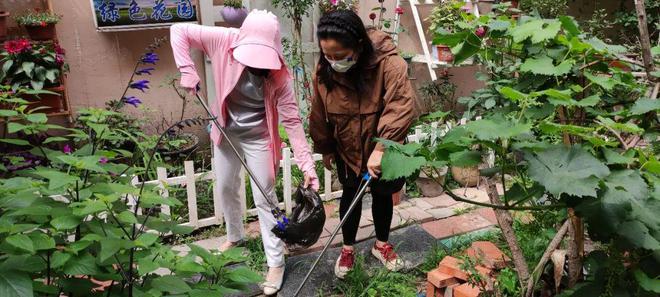 天博官网【美好社区·先锋行动】旧墙绿植美化打造个性化家园(图4)