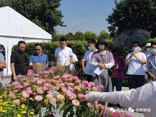 天博体育官方平台入口西安市苗木花卉产业发展调研报告(图2)