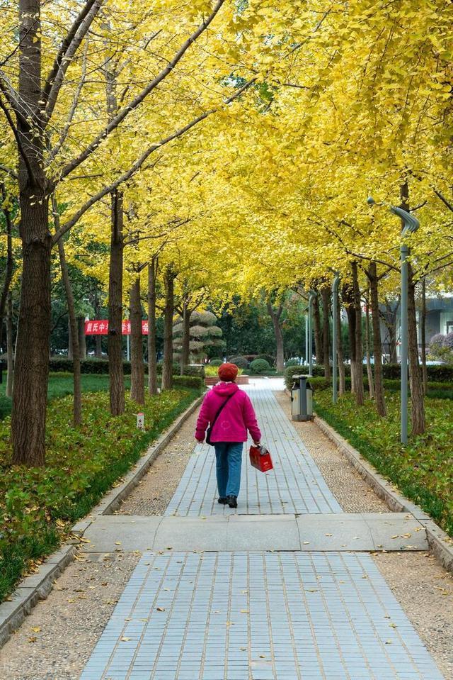 天博体育官方平台入口我住院两个月儿子一次没来出院改了遗嘱后儿子儿媳连夜赶来(图8)