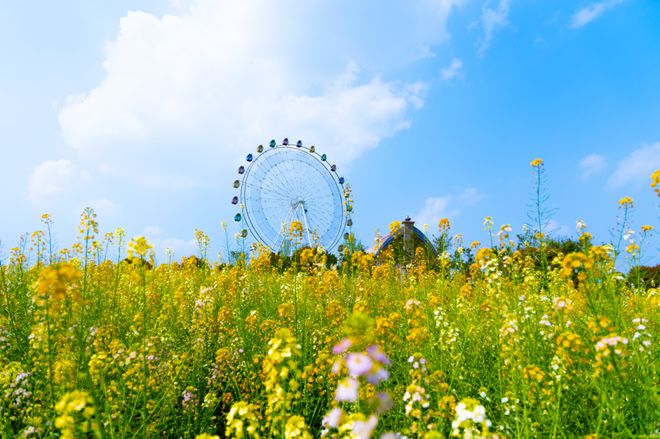 天博乐山7地入选宝藏赏春地！不过这4个地方现在去刚刚好！(图2)