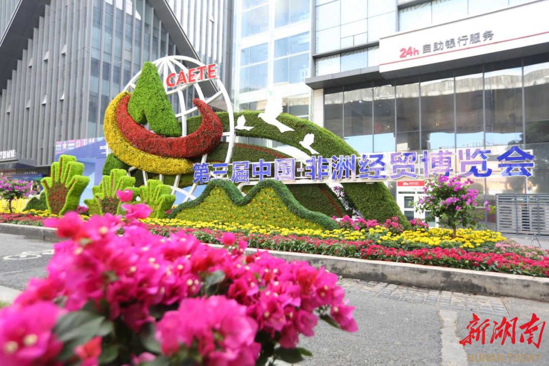 天博官网雨花区增花添彩造园艺 “美美地”迎接第三届中非经贸博览会(图3)