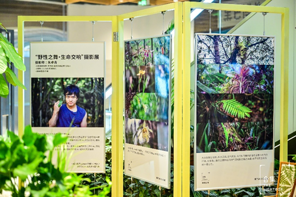 天博市中心商场变身城市森林共赴春日植物治愈之旅(图1)