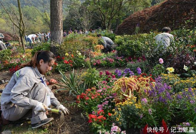 天博花卉园艺师怎么报考？报考需要符合哪些条件？(图1)