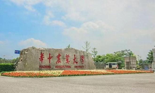 天博官网湖北实力被严重低估的一所211大学录取分数不高还适合考公(图2)