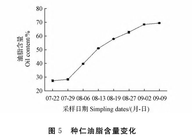 天博体育官方平台入口秋初才有的鲜美果子没吃过可太太太遗憾了(图5)