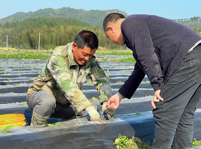 天博官网小村里的种植能手(图2)