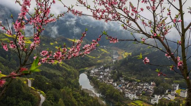 天博官网入口乡村振兴中乡村景观设计要素大全（干货）(图5)