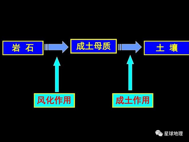 天博体育官方平台入口中国丈母娘把豪华别墅花园改成菜地洋女婿回来后懵了…驳“毫不动(图5)