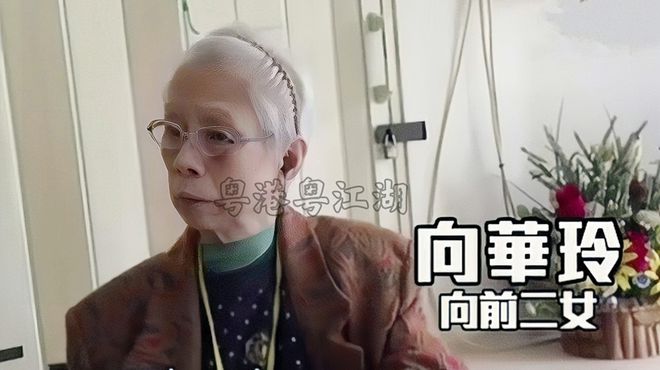 天博官网黑帮新义安向氏二小姐讲述龙头家族的内幕(图2)