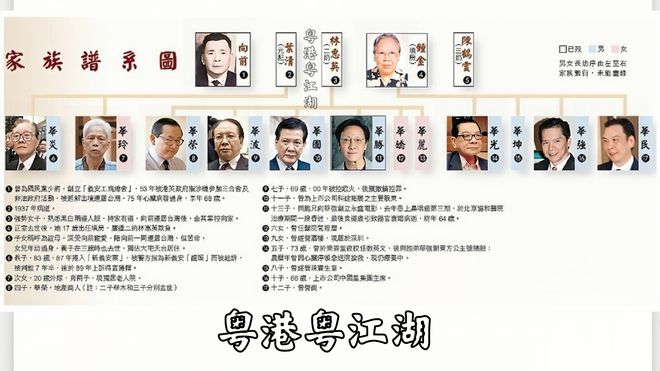 天博官网黑帮新义安向氏二小姐讲述龙头家族的内幕