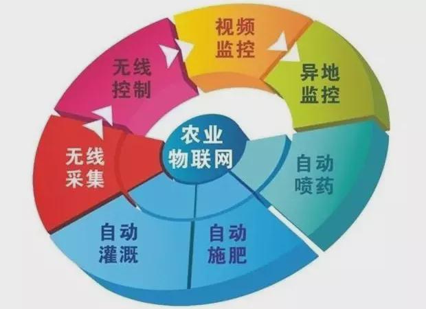 天博【农业地理】2024年高考热点——现代农业耕地资源与粮食安全问题高考经常考！(图23)