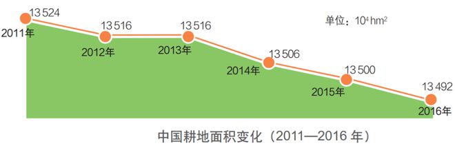 天博【农业地理】2024年高考热点——现代农业耕地资源与粮食安全问题高考经常考！(图31)