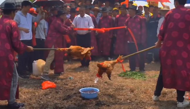 天博体育官方平台入口破防！全红婵家族清明祭祖场面引争议网友怒怼：真正的光宗耀祖(图3)