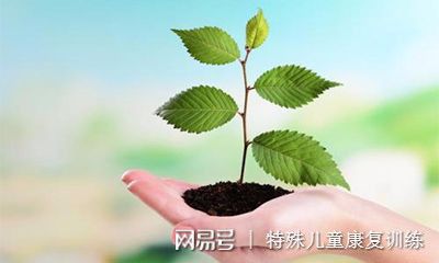 天博官网入口利用园艺疗法对自闭症儿童核心症状进行干预(图1)