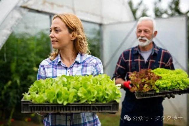 天博【园艺疗法】种菜浇花也能改善痴呆症患者的病情？研究解读(图1)