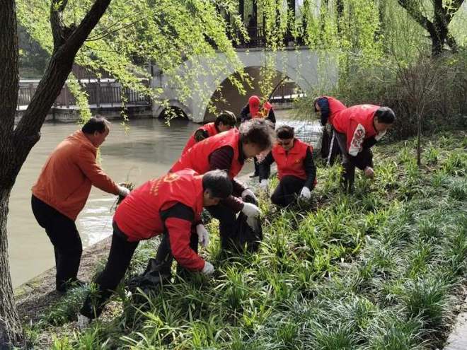 天博无街不美景无处不精细四季青街道全民推进“美丽大花园”建设(图3)